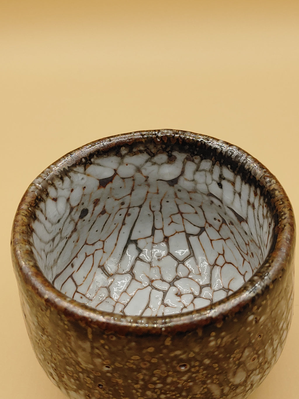 The White Scale Bowl — Shino Wood-Fired Chawan — product view 5