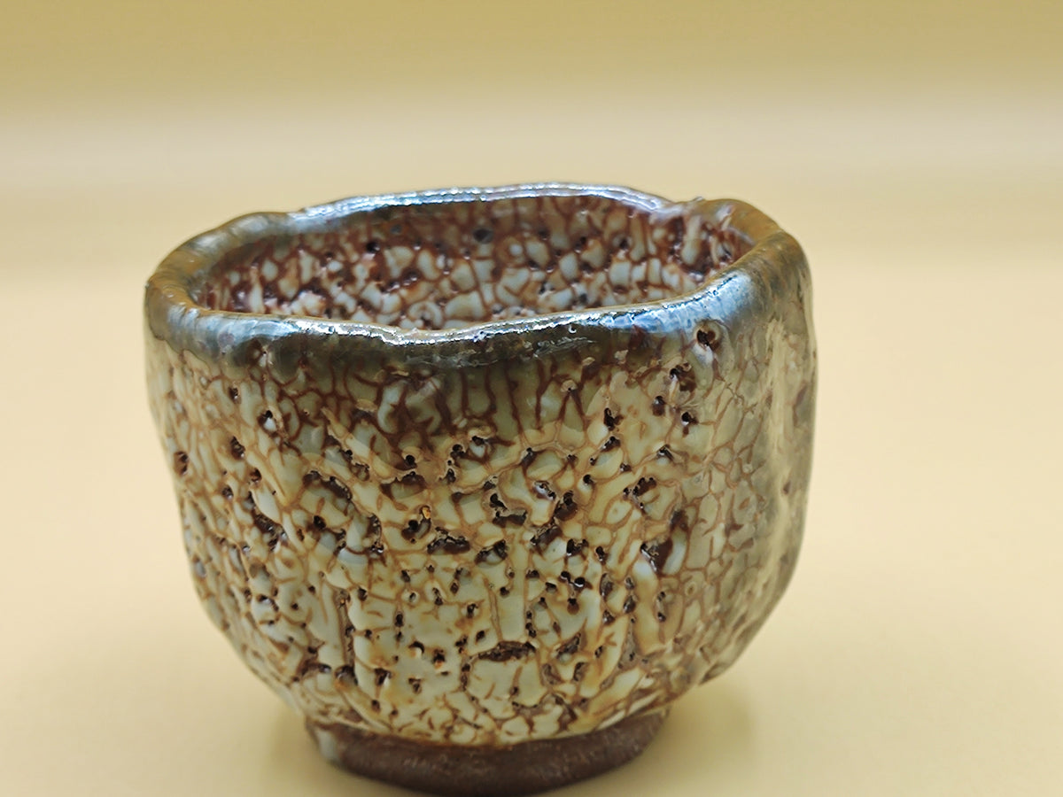 Cracked Earth, Silver Sky — Shino Wood-Fired Teacup — product view 4