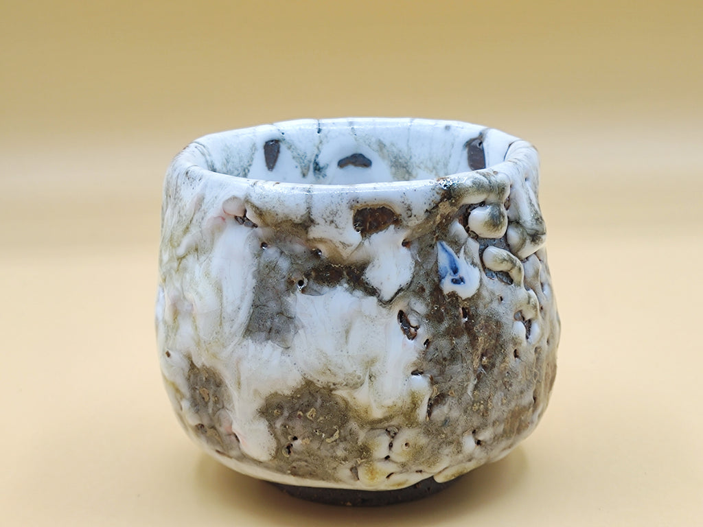 White Avalanche — Shino Crawled Glaze Teacup — product view 2