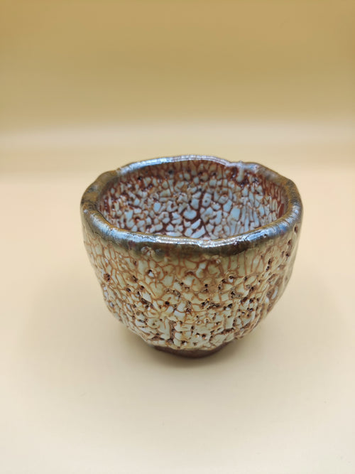 Cracked Earth, Silver Sky — Shino Wood-Fired Teacup