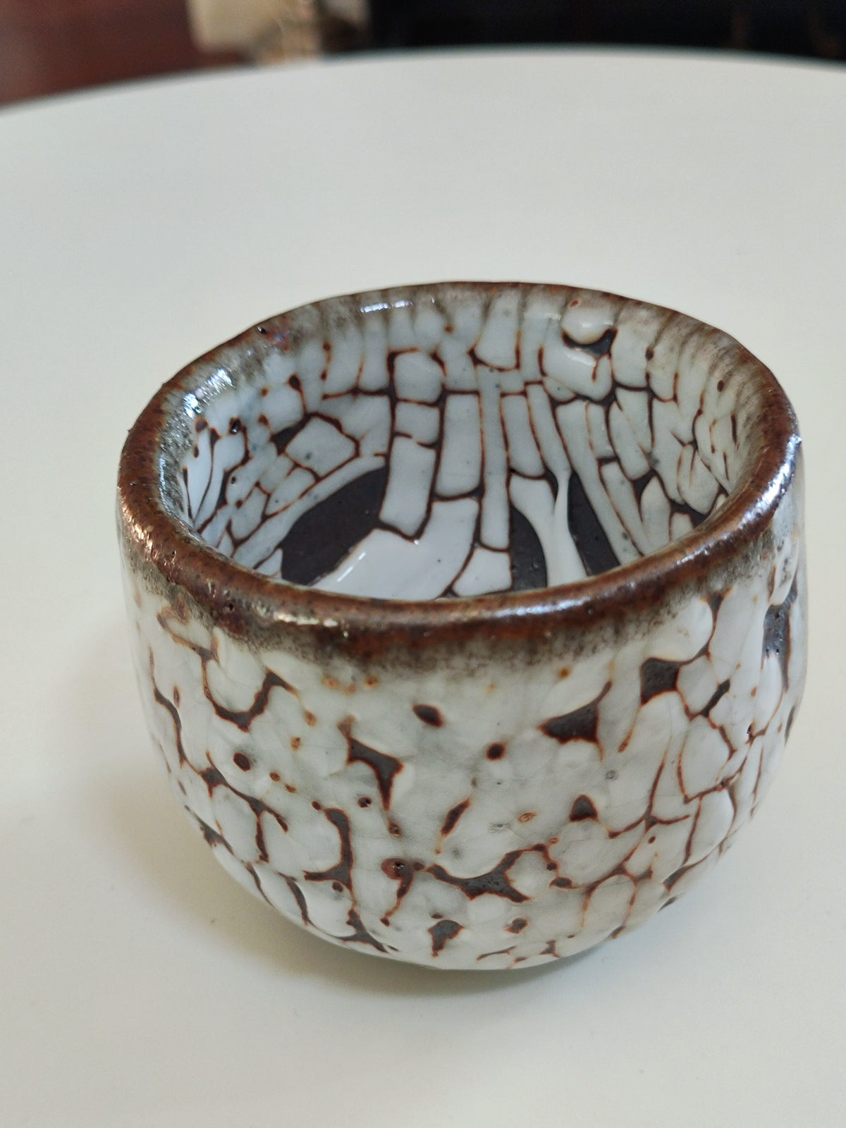 First Snow on Dark Earth — Shino Wood-Fired Teacup