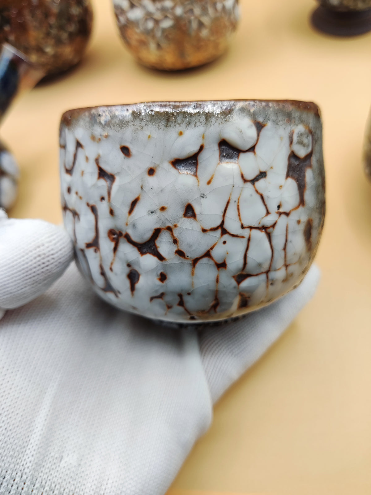 First Snow on Dark Earth — Shino Wood-Fired Teacup — product view 2
